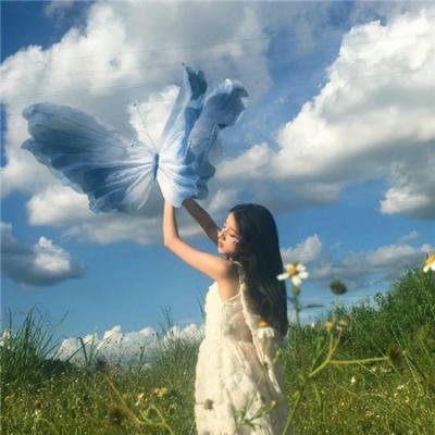 碧娜鲍许